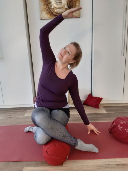 Meike Kämmerer, sitzendes Kuhgesicht mit Seitbeuge