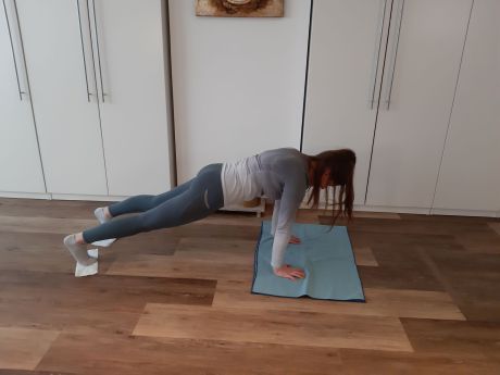 Nadine Schmidt, Plank mit Staubtüchern