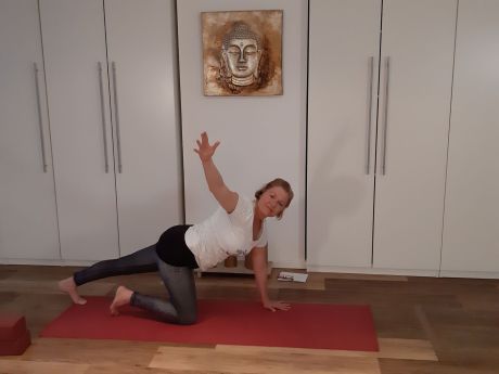 Meike Kämmerer, Twist aus Vierfüßler