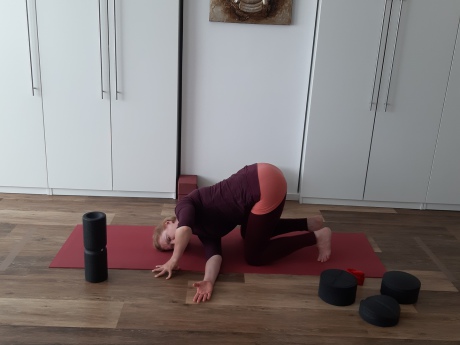 Meike Kämmerer, gedrehte Katze